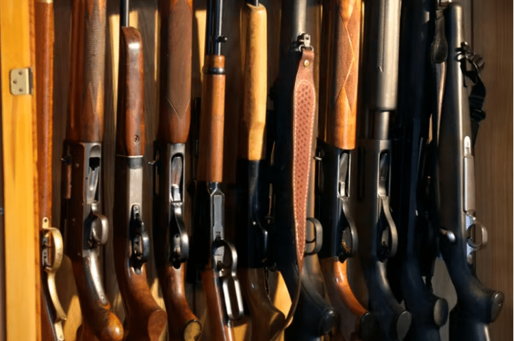 12 Best Guns For Long Range & Precision Shooting
