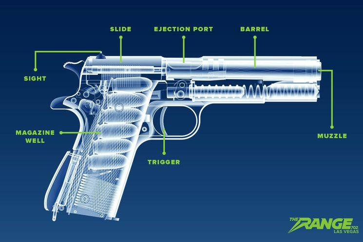 infographic showing the parts of a handgun